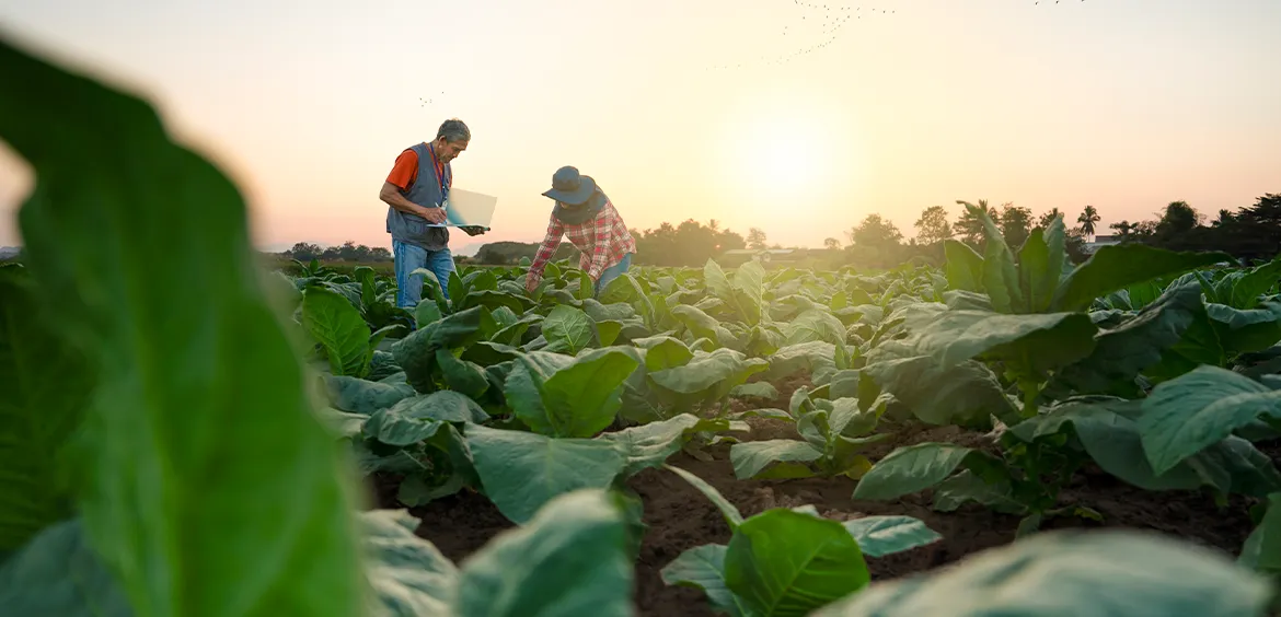 Overzicht van de belangrijkste wijzigingen in de ET-regeling in 2026